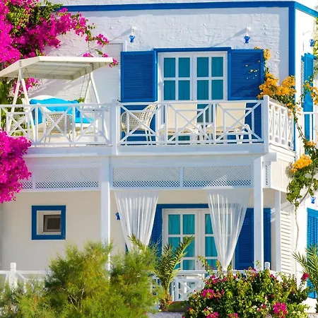 Mavi Beyaz Palamutbuku