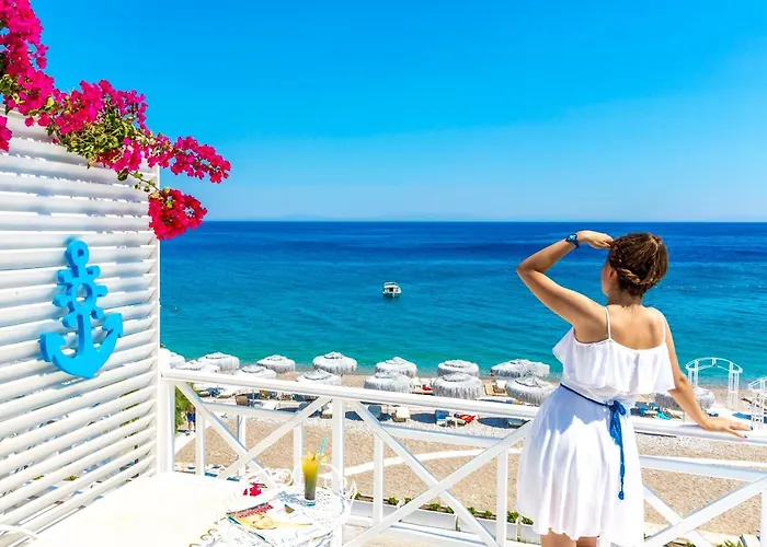 Mavi Beyaz Palamutbuku