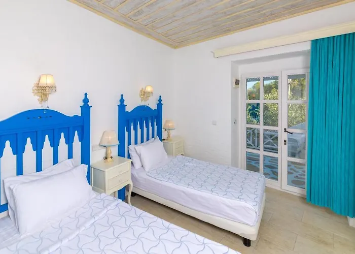 Mavi Beyaz 3* Palamutbuku