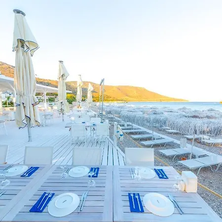 Mavi Beyaz Palamutbuku