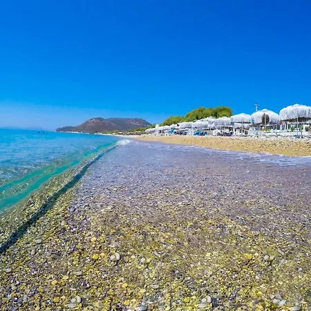 Mavi Beyaz 3* Palamutbuku