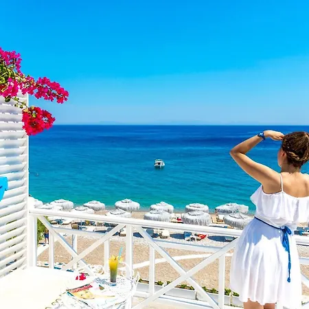 Mavi Beyaz Palamutbuku