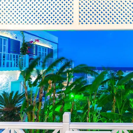 Mavi Beyaz 3* Palamutbuku