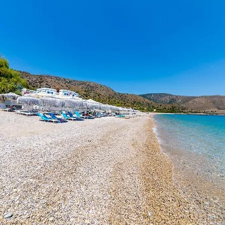 Mavi Beyaz Palamutbuku