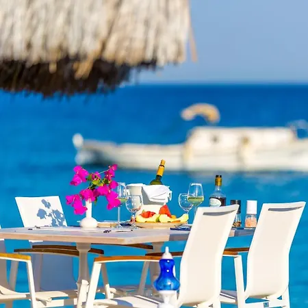 Mavi Beyaz Palamutbuku