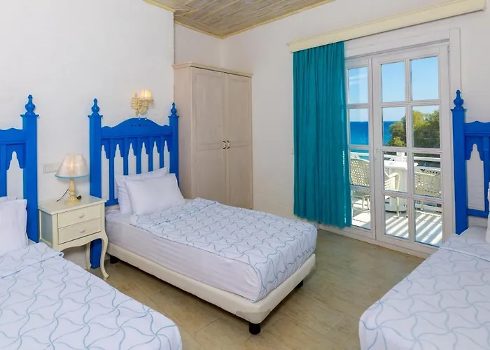 Mavi Beyaz 3* Palamutbuku