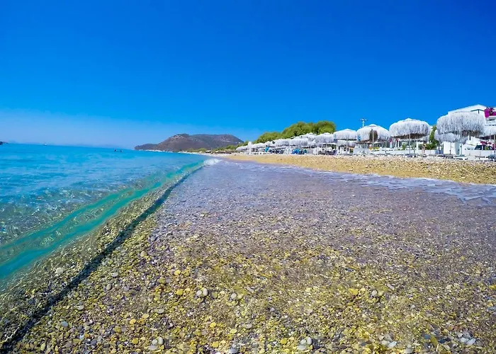 Mavi Beyaz 3* Palamutbuku