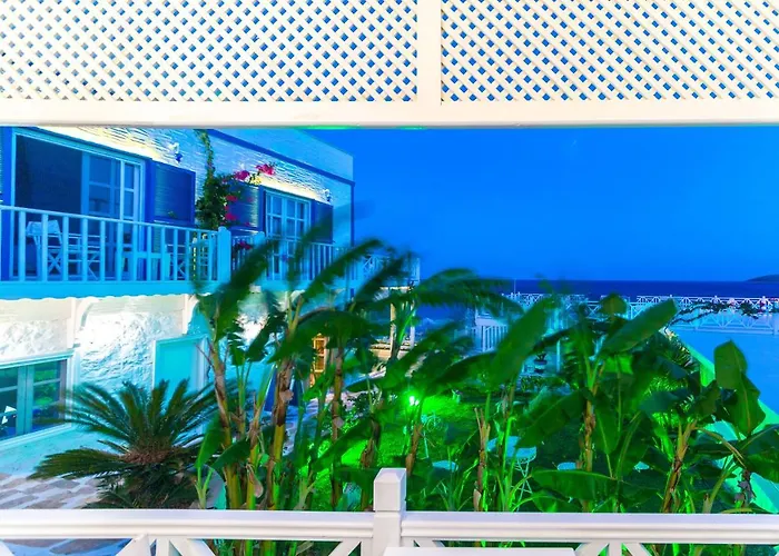 Mavi Beyaz 3* Palamutbuku