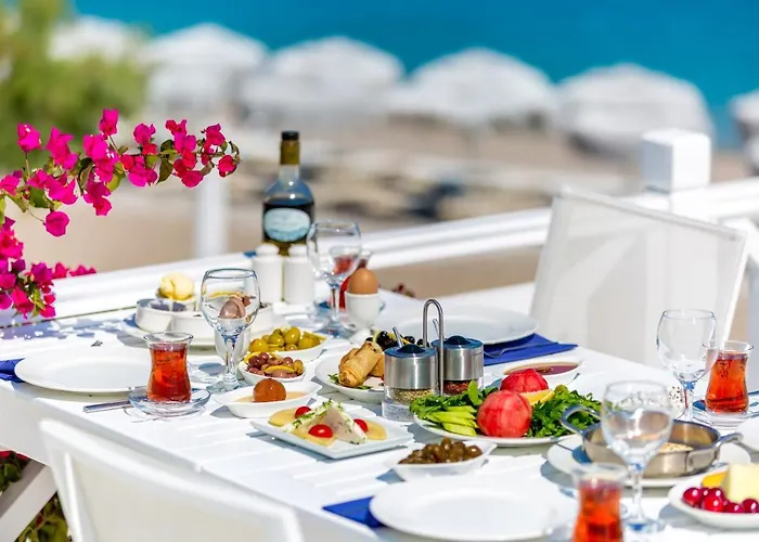 Mavi Beyaz Palamutbuku